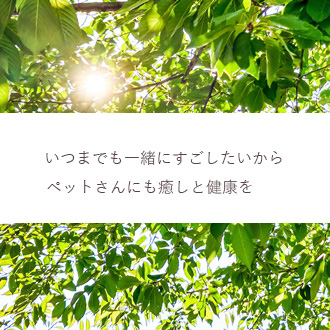 千葉県市原市細喜道CS60癒しと改善キッズにも